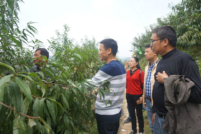 1508919446408042269.jpg DSC09511_meitu_3.jpg