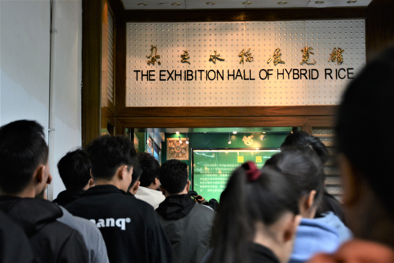 1602816919338098120.jpg 5.jpg