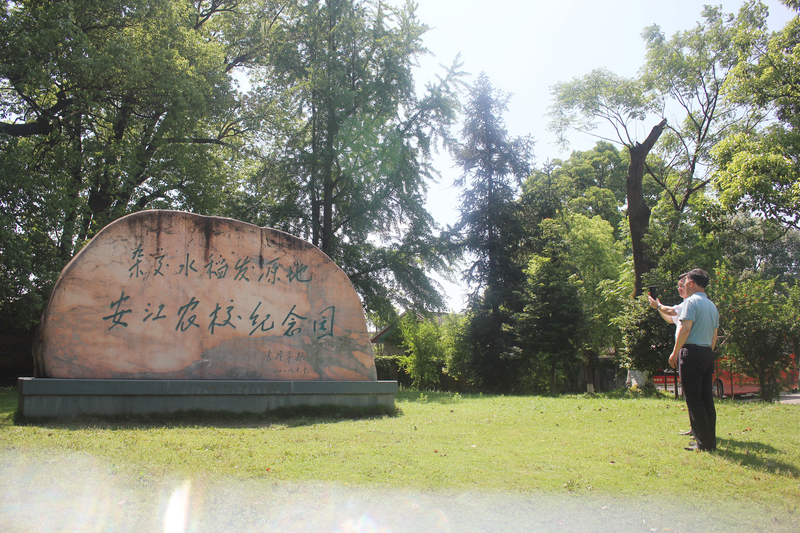 1621218163412011633.jpg 1.jpg