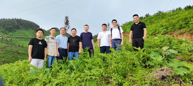 1626426012877069452.png 图片3_副本.png