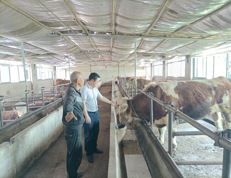 1650869562884063810.jpg 图片2.jpg