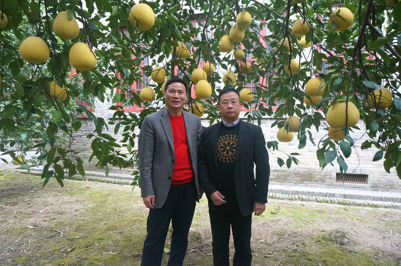 1511947940792031910.jpg DSC06724.jpg